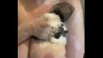 Bit titted animal takes a shower