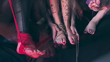 Do these tied feet tease you