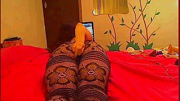 Big ass anal pantyhose