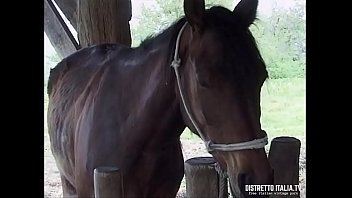 Quella guardona della mia matrigna
