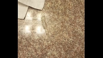 20170219 144022 1 thumbnail