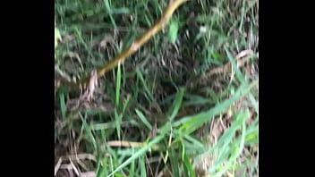 Chamei ele pra entrar no terreno comigo e fodemos no mato