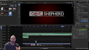 Walkthrough For Stage 3 Part 6 Of D4rkshepherd Introduction Animation thumbnail