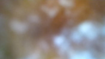 My bbc bull creampies me twice after eating my pussy so good