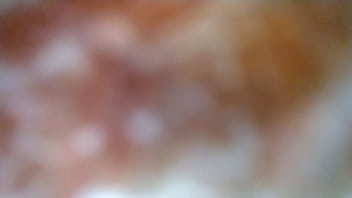 My bbc bull creampies me twice after eating my pussy so good