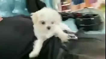 No Underwear thumbnail