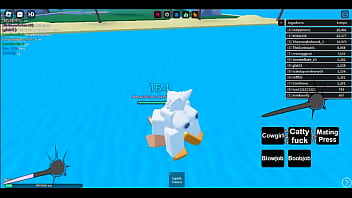 Vídeo de verificação