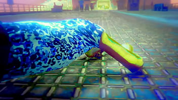 Rainbow dolphin music