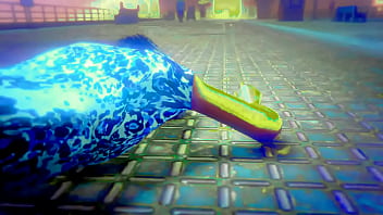 Rainbow dolphin music