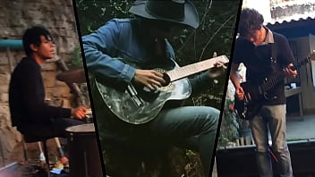 Rainbow dolphin music