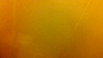 Wild sex in the woods