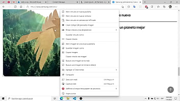 Post a la pagina web