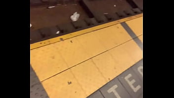 Manhattan 42nd street pussy print