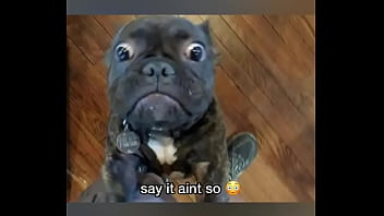 Late night come home