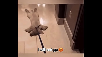 Late night come home