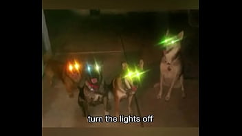 Late night come home