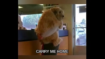 Late night come home