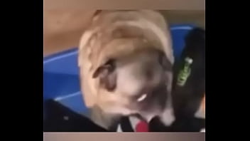 Late night come home