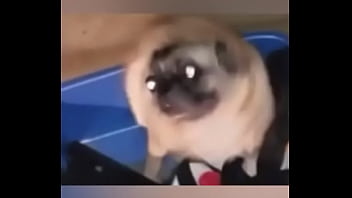 Late night come home