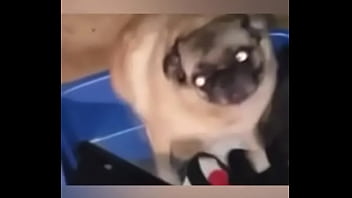 Late night come home