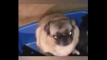 Late night come home