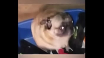 Late night come home