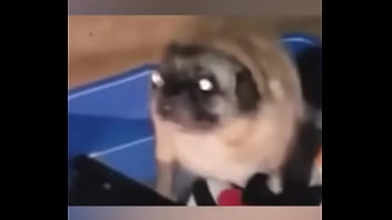 Late night come home