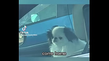 Late night come home