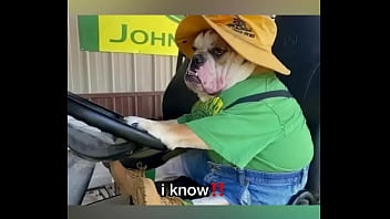 Late night come home