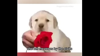 Late night come home