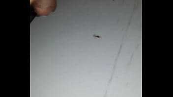 Jorrando leite bem gostoso