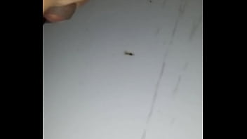 Jorrando leite bem gostoso