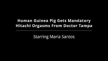 Human guinea pig gets mandatory hitachi orgasms from doctor tampa maria santos