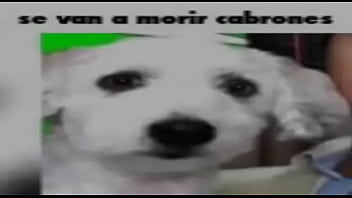 Holaaaa soy el pepeeeee