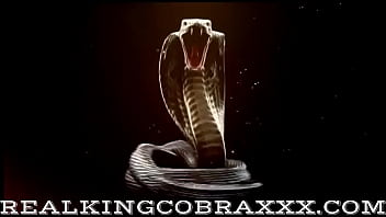 King cobra has the best cock 1 blonde bombshell preston lee loves taking the big black cobra