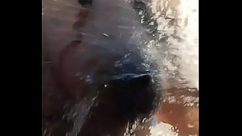 Hoje é dia de lavar o carro