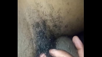 Other colors these scorpio zodiac animals show up in 6 Other colors these scorpio zodiac animals show up in 6