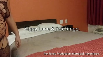 Rex Ringo thumbnail