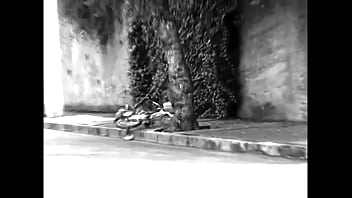 El regalo de bodoque