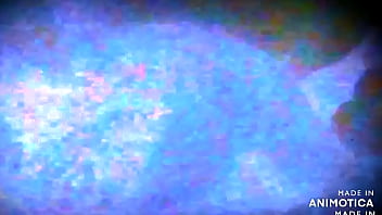 Mexytarte algo nuevo apoya colabora