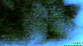 Mexytarte algo nuevo apoya colabora