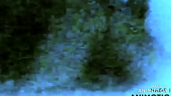 Mexytarte algo nuevo apoya colabora