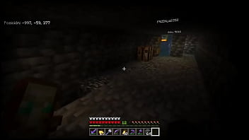 Minecraft survival