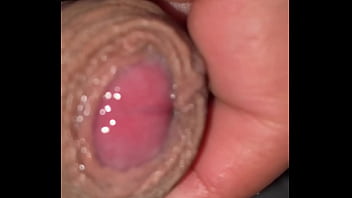 Pekeshow1620 update #15 img 9283 mar 11 2025