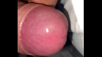 Pekeshow1620 update #15 img 9283 mar 11 2025