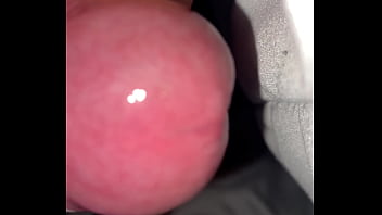 Pekeshow1620 update #15 img 9283 mar 11 2025