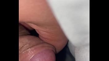 Pekeshow1620 update #15 img 9283 mar 11 2025