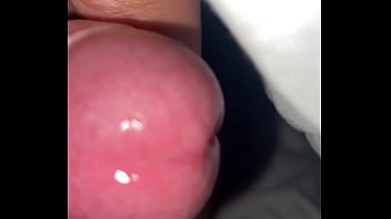 Pekeshow1620 update #15 img 9283 mar 11 2025