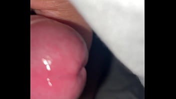 Pekeshow1620 update #15 img 9283 mar 11 2025