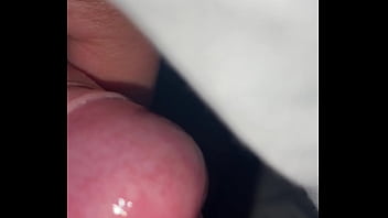 Pekeshow1620 update #15 img 9283 mar 11 2025